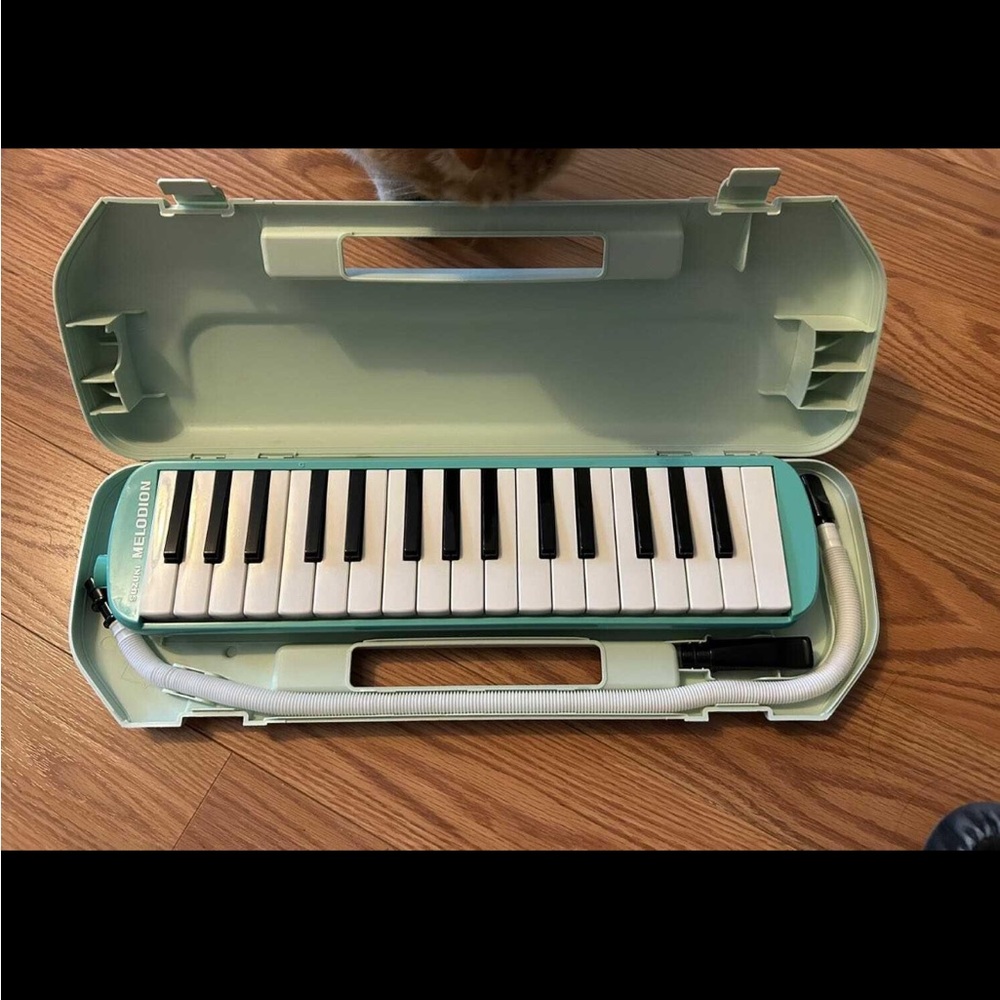 Green Melodica with Case